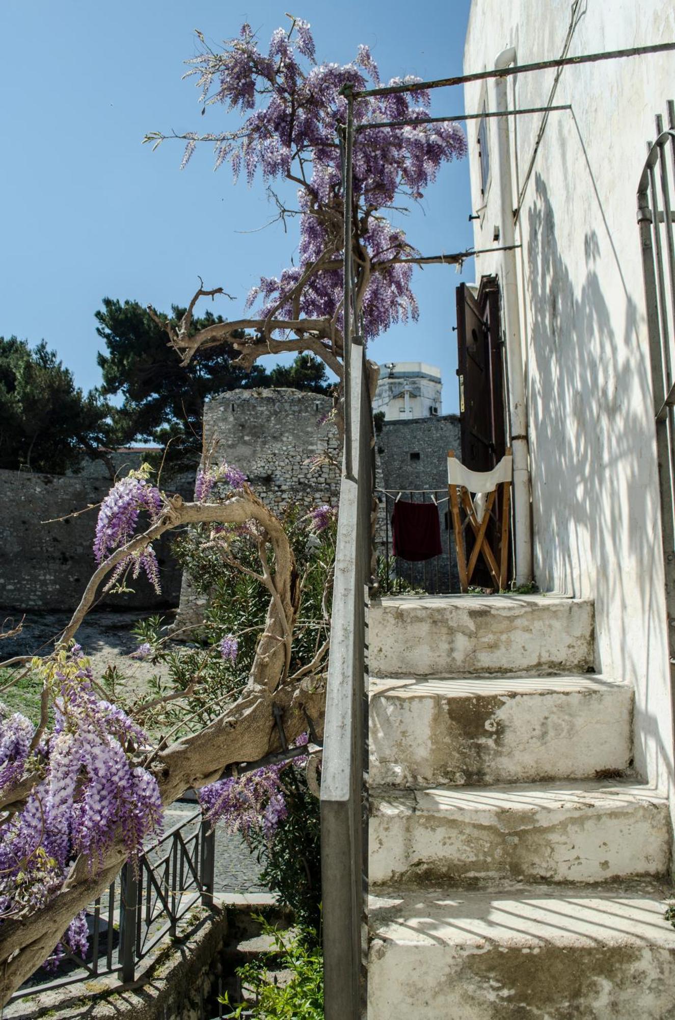 Bed and Breakfast Torre La Mezzaluna Вьесте Экстерьер фото